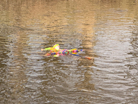 Společný den radosti